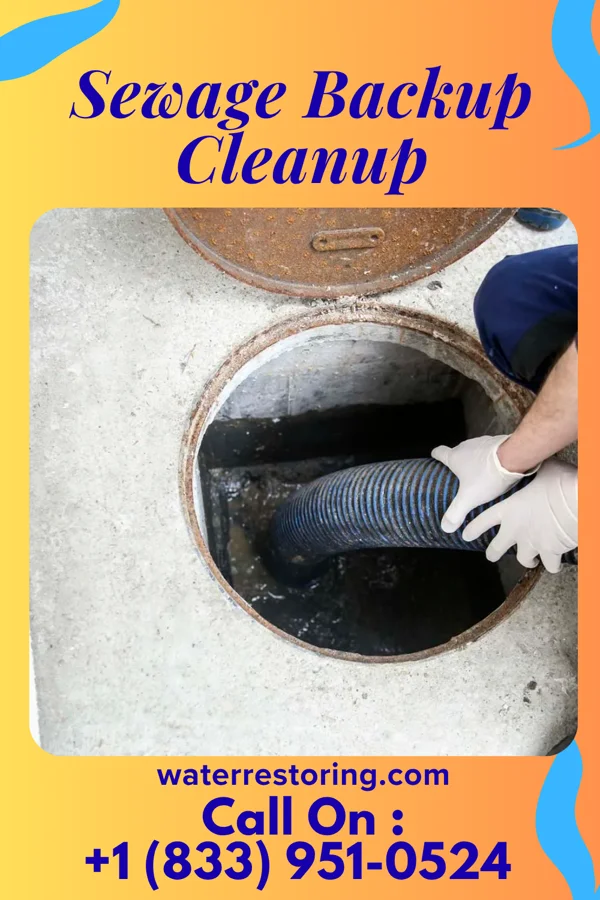 Sewage Backup Cleanup in Speedway, IN