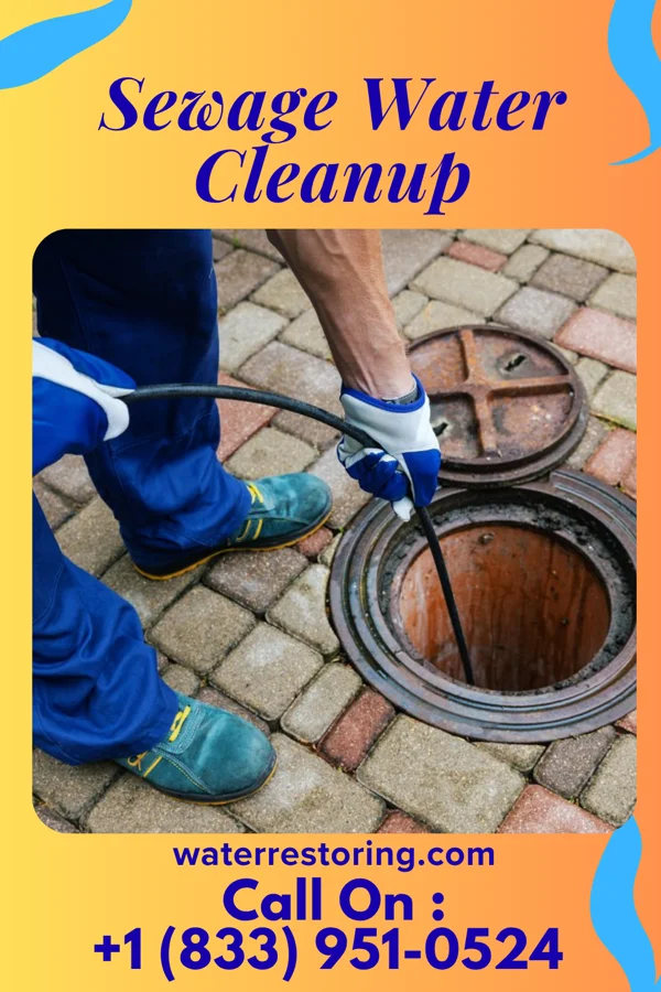 Sewage Water Cleanup in Speedway, IN